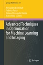 Cover: Advanced Techniques in Optimization for Machine Learning and Imaging - Springer