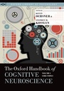 Bild: The Oxford Handbook of Cognitive Neuroscience - OUP eBook