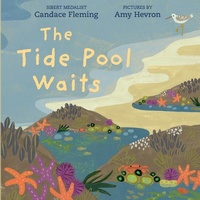 Enlarge image Cover: The Tide Pool Waits - Holiday House Inc