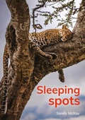 Cover: Sleeping spots - Raintree