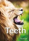 Cover: Teeth - Raintree