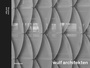 Cover: Structure and Type - Birkhäuser