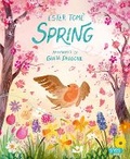 Cover: Spring - Sassi