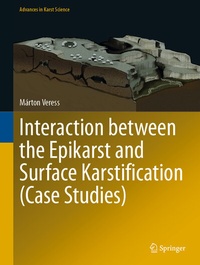 Abbildung von: Interaction between the Epikarst and Surface Karstification (Case Studies) - Springer