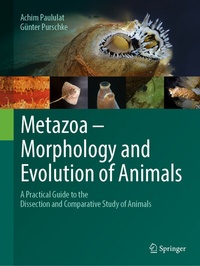 Abbildung von: Metazoa - Morphology and Evolution of Animals - Springer