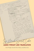 Cover: So Much Secret Labor - Wesleyan University Press