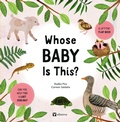Cover: Whose Baby Is This? - Albatros nakladatelstvi as