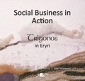 Cover: Social Business in Action - Trigonos in Eryri - Y Lolfa