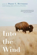 Cover: Into the Wind - Wayfarer Books