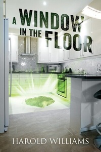Abbildung von: Window In The Floor - Outskirts Press
