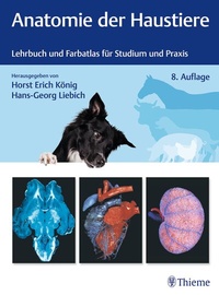 Abbildung von: Anatomie der Haustiere - Thieme