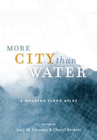 Abbildung von: More City than Water - University of Texas Press