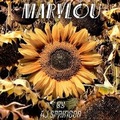 Cover: Marylou - Spoken Realms