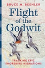 Cover: Flight of the Godwit - Smithsonian Books