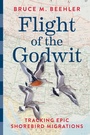 Cover: Flight of the Godwit - Smithsonian Books