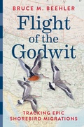 Cover: Flight of the Godwit - Smithsonian Books
