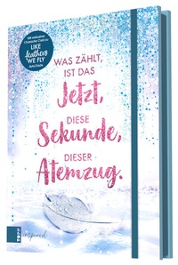 Abbildung von: Ayla Dade: Winter Dreams. Das Journal - Frech