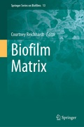 Bild: Biofilm Matrix - Springer