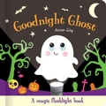 Cover: Goodnight Ghost - Two Windmills