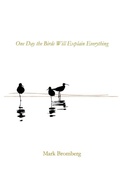 Cover: One Day the Birds Will Explain Everything - Parson's Porch