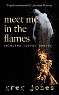 Cover: Meet Me in the Flames - Wild Ink Publishing LLC