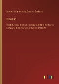 Cover: Belisario - Outlook Verlag