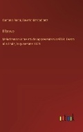 Cover: Il bravo - Outlook Verlag
