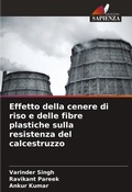 Cover: Effetto della cenere di riso e delle fibre plastiche sulla resistenza del calcestruzzo - Edizioni Sapienza