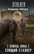 Cover: Skvoz Zony. Spyaschiy stalker - Ast