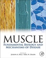 Cover: Muscle - Academic Press