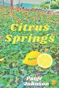 Cover: Citrus Springs - Outcast Press LLC