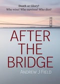 Cover: After The Bridge - Hit the North