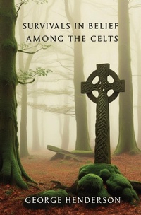 Abbildung von: Survivals in Belief Among the Celts - Left of Brain Books