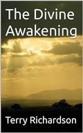 Cover: The Divine Awakening - Intoxcy8me
