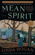 Cover: Mean Spirit - Scribner
