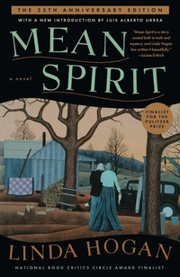Enlarge image Cover: Mean Spirit - Scribner