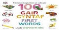 Cover: Y Lindysyn llwyglyd Iawn yn cyflwyno 100 Gair Cyntaf (First Words) - Wordzworth Publishing