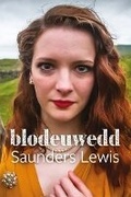 Cover: Blodeuwedd - Gwasg Gee (Cyhoeddwyr) Cyf