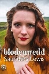 Enlarge image Cover: Blodeuwedd - Gwasg Gee (Cyhoeddwyr) Cyf