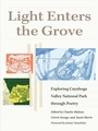 Cover: Light Enters the Grove - The Kent State University Press