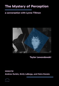 Enlarge image Cover: The Mystery of Perception - Archway Editions
