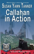 Cover: Callahan in Action - Secret Staircase Books