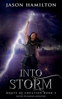 Enlarge image Cover: Into Storm - Jason Hamilton