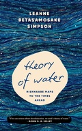 Cover: Theory of Water - Haymarket Books