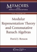 Cover: Modular Representation Theory and Commutative Banach Algebras - American Mathematical Society