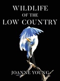 Cover: Wildlife of the Low Country - Bublish, Inc.