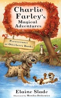 Cover: Perseverance at Otterberry Banks - Boz Publications Ltd