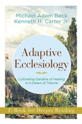 Cover: Adaptive Ecclesiology - Abingdon Press