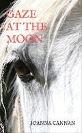 Cover: Gaze at the Moon - Jane Badger Books