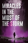 Cover: Miracles in the Midst of the Storm - Michelle Spicely